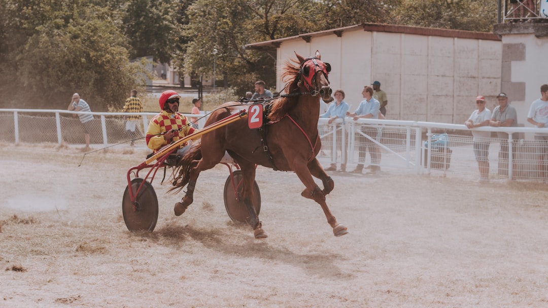 Horse racing form book and betting slips