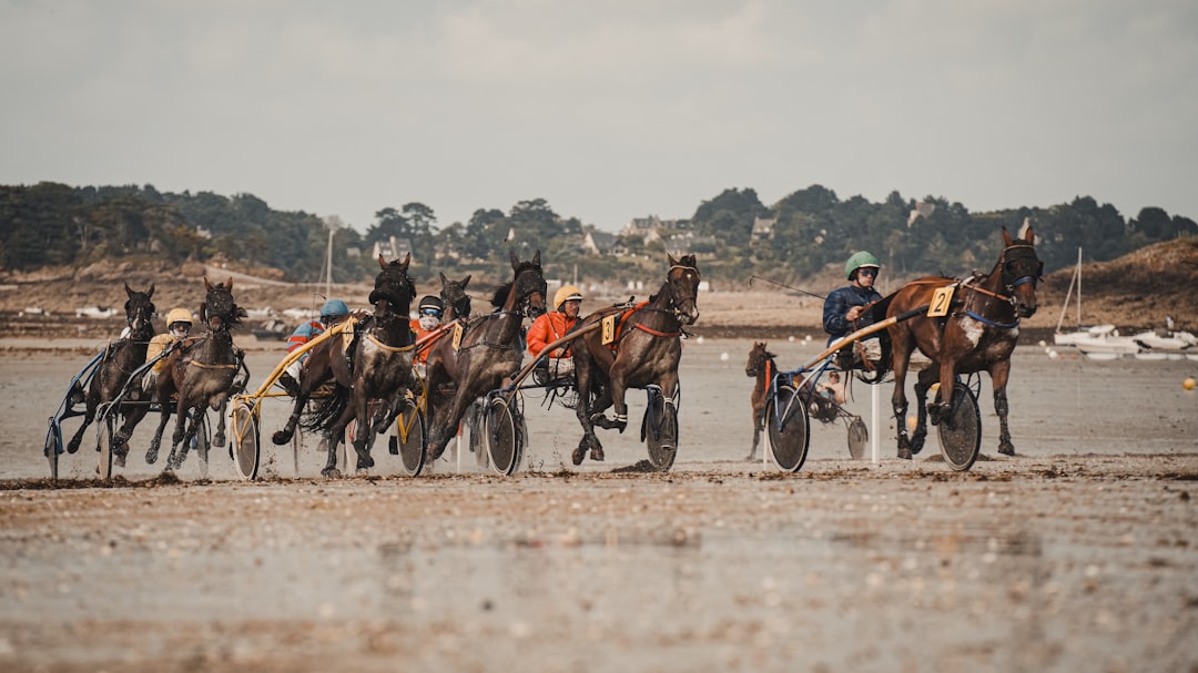 Aintree racecourse — Grand National fences