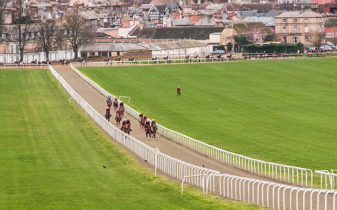 Cheltenham racecourse — Festival day atmosphere